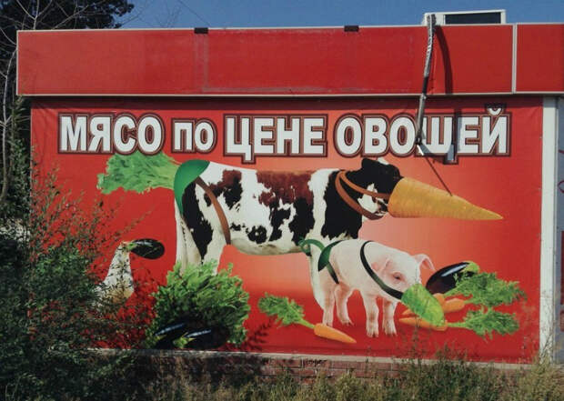 Красочно и с фантазией! | Фото: Уморительно. Красочно и с фантазией! | Фото: Уморительно.