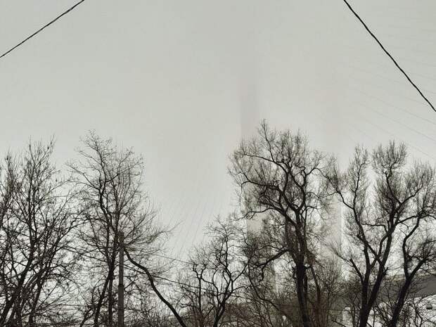 Неделя во Владивостоке начинается с тумана