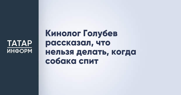 Кинолог Голубев рассказал, что нельзя делать, когда собака спит