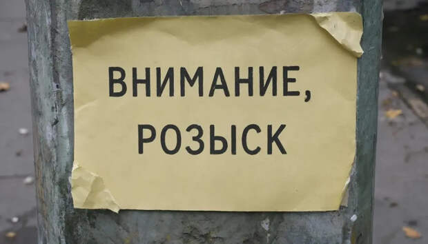 В Москве при загадочных обстоятельствах пропали бывший депутат Госдумы и его верный пёс