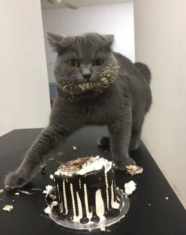  ,  !    