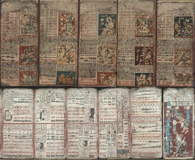 9. Один из четырех кодексов майя, написанный глифами майя в 1200-1250 годах нашей эры 9. Один из четырех кодексов майя, написанный глифами майя в 1200-1250 годах нашей эры