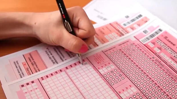 Эксперт Минпросвещения Григорьев: слово "гойда" допустимо в сочинениях ЕГЭ