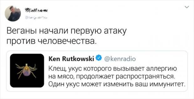 www.vsyako.net