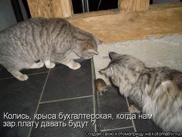 Мысли вслух :)