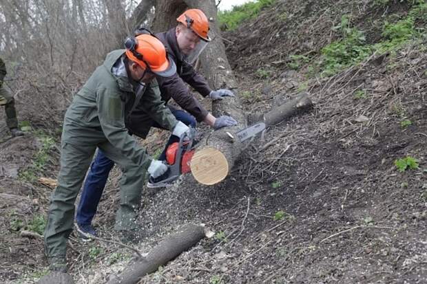 В Туле в рамках субботника губернатор и замминистра спорта убирали набережную