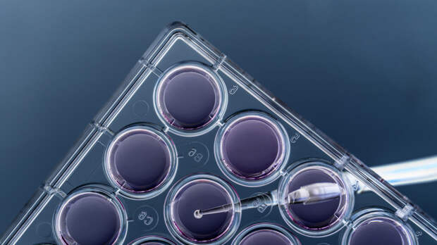 На Форуме будущих технологий рассказали, как биотехнологии изменят меню россиян к 2042 году