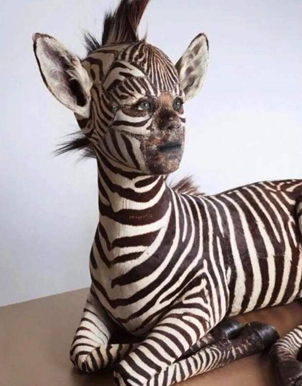 Что здесь происходит? 9 фотографий, за которыми скрываются, как минимум, странные истории