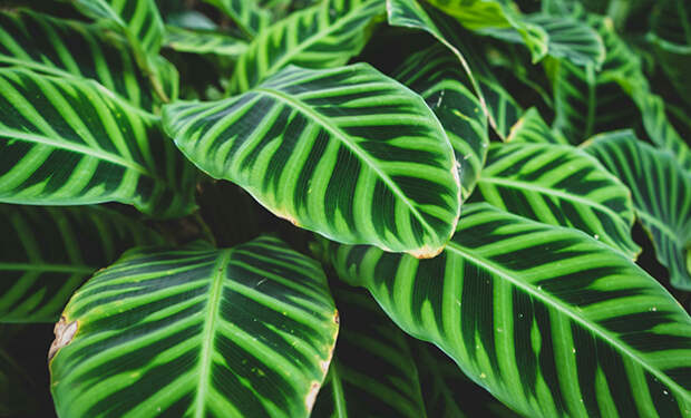 Источник фото: Unsplash