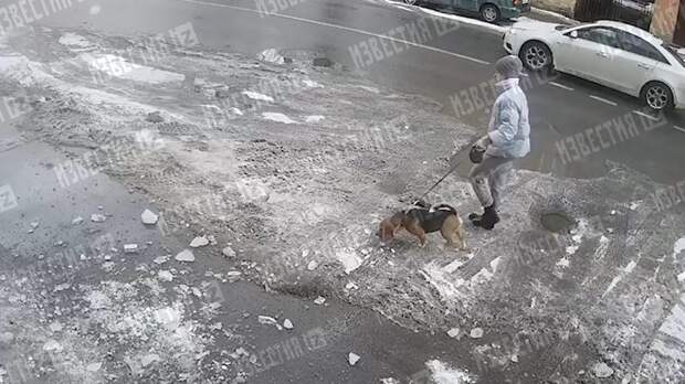 Падение смертоносной льдины на собаку в Петербурге попало на видео