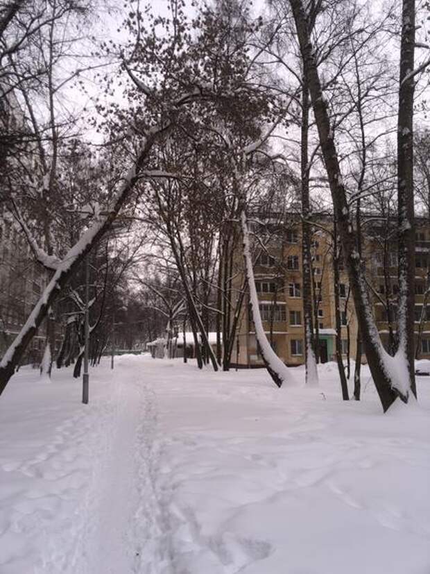 На МЖД из-за морозов в вагонах поездов может ломаться система отопления