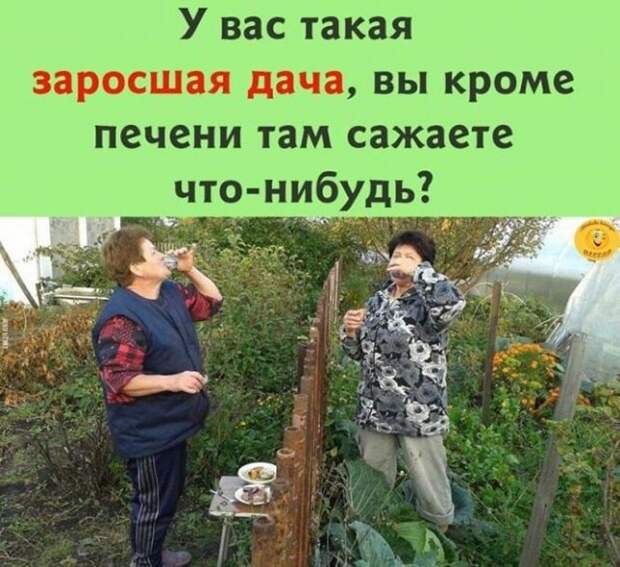 Шутки и мемы про алкоголь после прошедших выходных