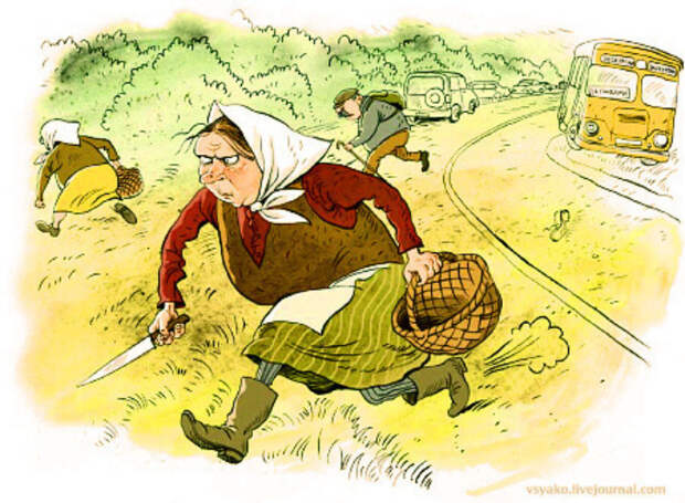 Диана-ВДВ и грибная охота