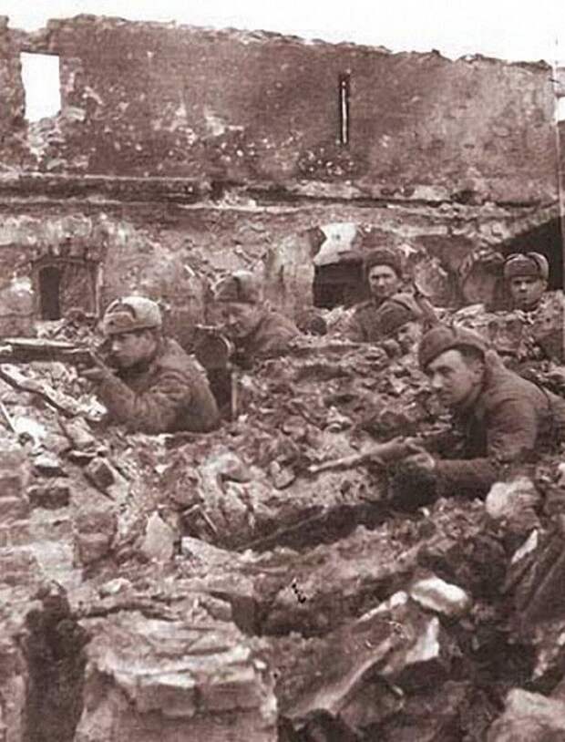 Фронтовые фотографии Алексея Макаровича Смирнова Фронтовые фотографии Алексея Макаровича Смирнова