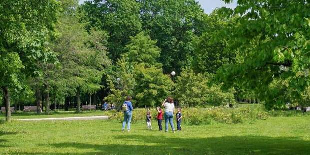 Новый фотопроект «Мы — про парки» стартует в столице к юбилею Мосгорпарка