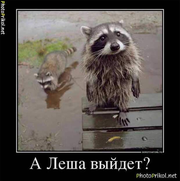 Забавные демотиваторы для ценителей (15 фото) Забавные демотиваторы для ценителей (15 фото)