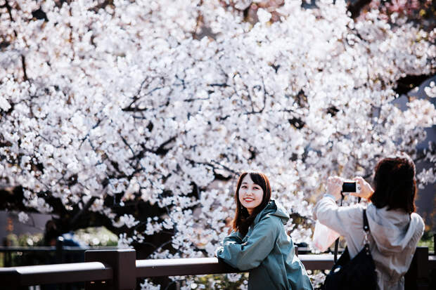 Люди фотографируются рядом с цветущими деревьями на реке Ямазаки, Нагоя, префектура Аити