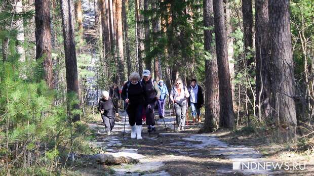 Свердловская область вошла пятерку регионов по количеству пенсионеров