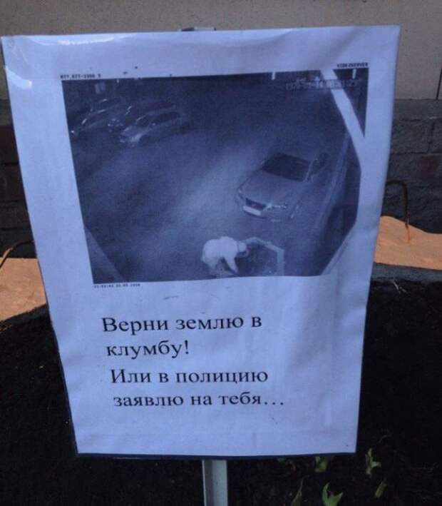 Клумбы к которым тянет как магнитом!