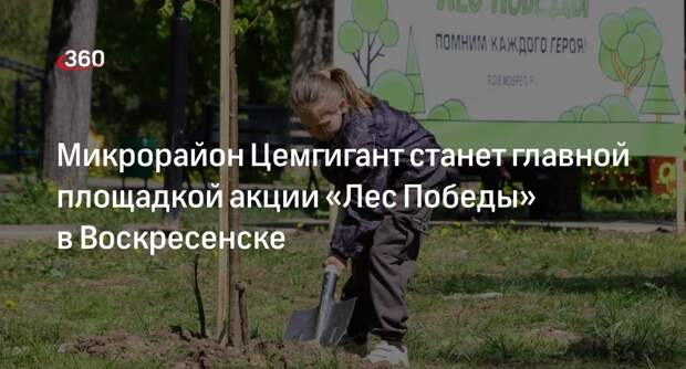 Микрорайон Цемгигант станет главной площадкой акции «Лес Победы» в Воскресенске