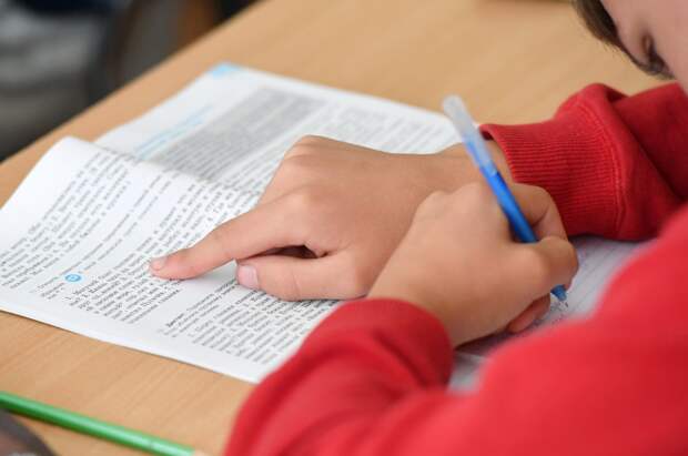 Украинская писательница рассказала о «пагубном» влиянии русского языка