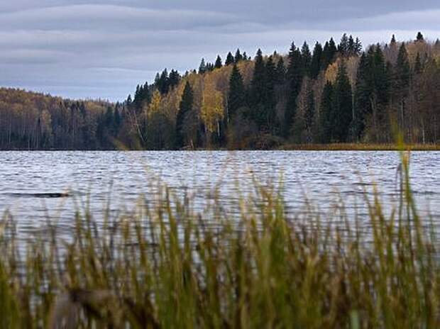 Национальный парк "Валдайский". Фото: Андриан Колотилин. 