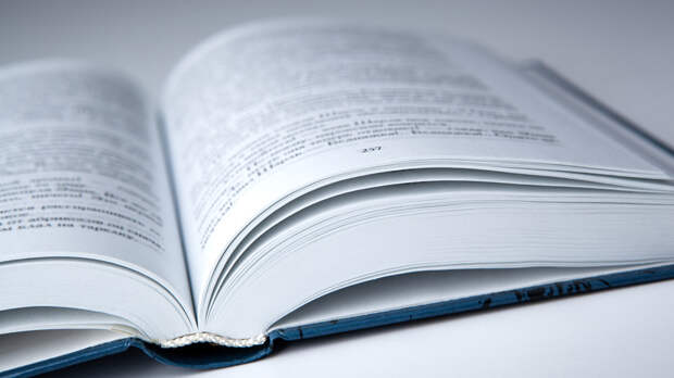 Филолог рассказал, что нет механизма включения новых слов в официальные словари