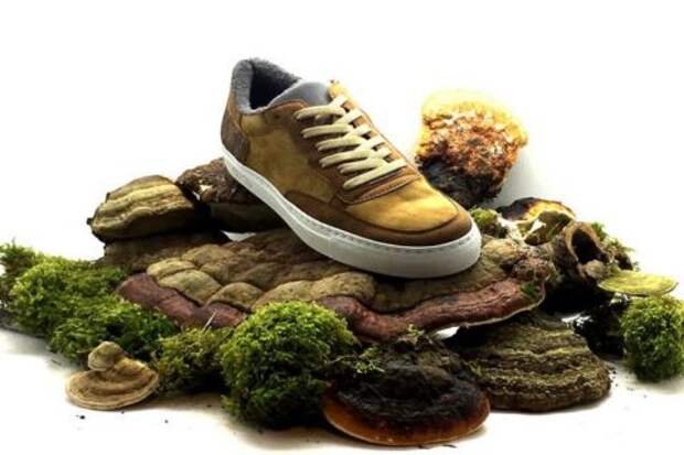 Обувь из растений: правда или миф?