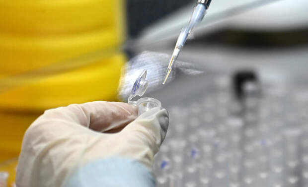 Россия захотела получить «суперштаммы» микроорганизмов