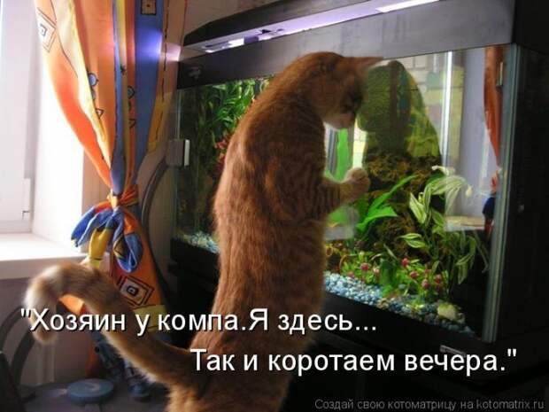 Мысли вслух :)