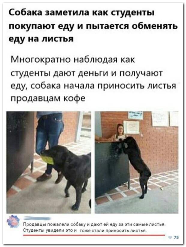 Ну что, спорим, что вы сейчас лопнете от смеха?
