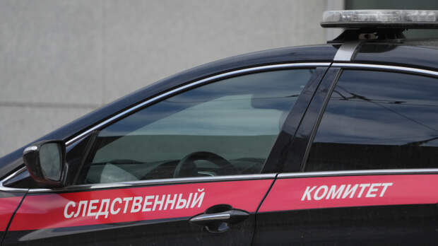 «Со взглядом тигрицы»: свекровь заказала убийство невестки за 30 тысяч рублей