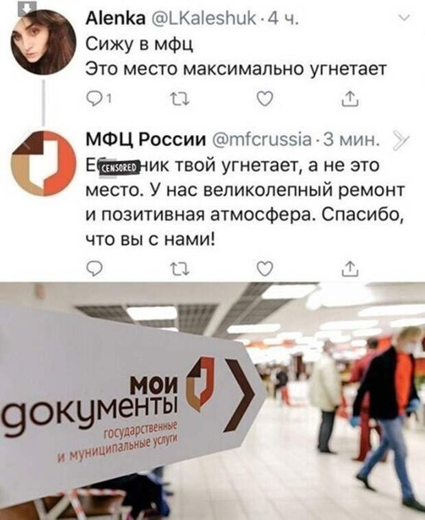 Смешные и познавательные картинки