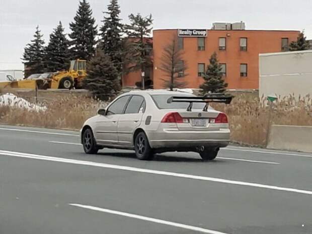 Автовсячина