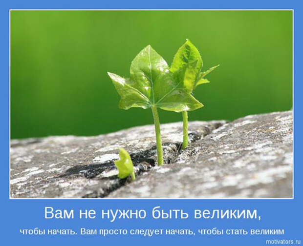 1581448564_1445504285_mot05.jpg