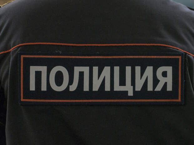 В Солнечногорске сына дипломата заподозрили в жестоком убийстве блогерши
