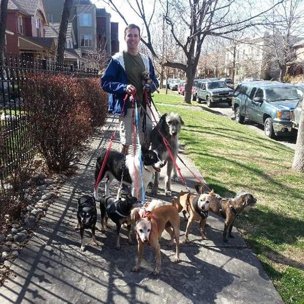 Мужчина забирает старых больных собак из приюта, у которых нет шанса обрести новый дом