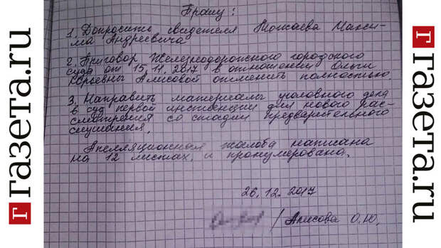 Страница из апелляции Ольги Алисовой