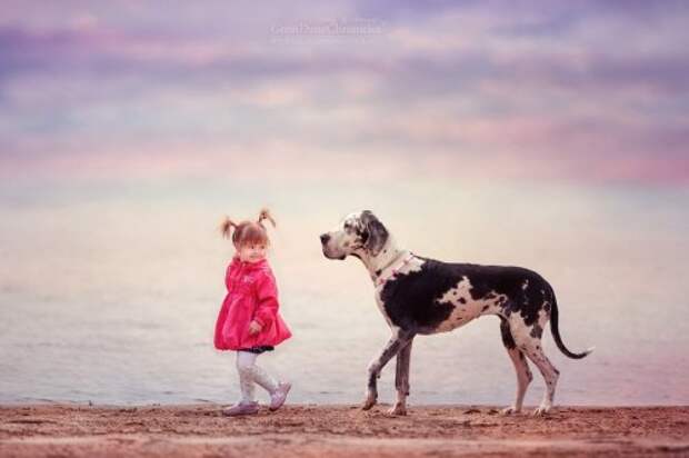 Маленькие дети и их большие собаки в фотопроекте Энди Селиверстова (25 фото)