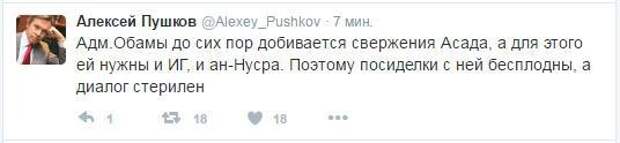 Посиделки — бесплодны, диалог — стерилен: Пушков согласился с Лавровым о бесполезности переговоров с США по Сирии