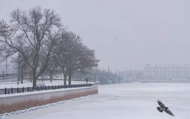 Небольшой снег пройдёт местами в Петербурге 28 января