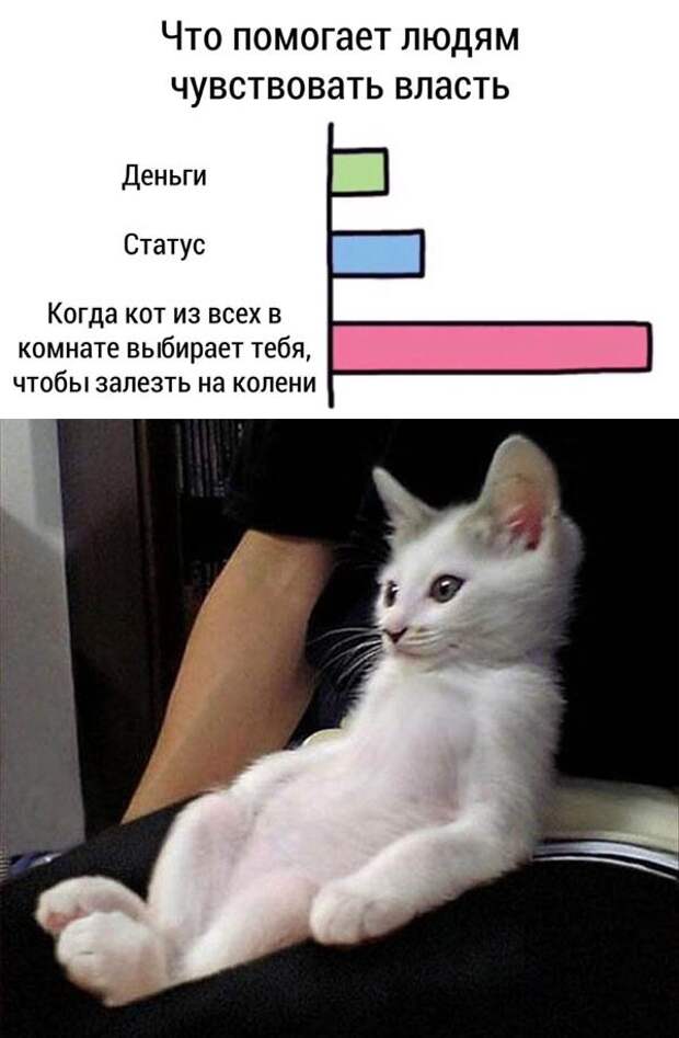 www.vsyako.net