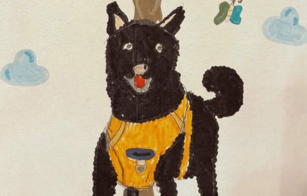 Рисунки детей поддержат животных из приютов в Москве и Подмосковье