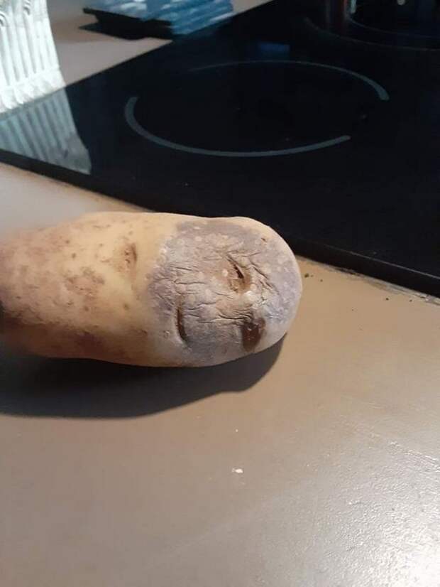 Картошка с человеческим лицом