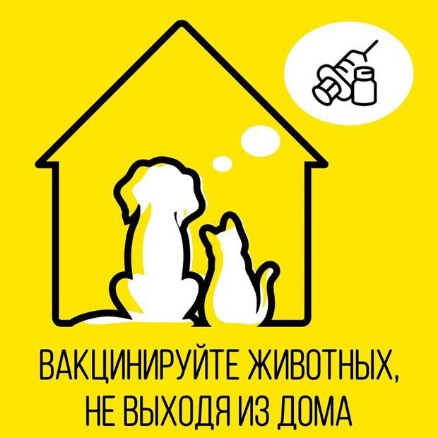 УПП1,17042020