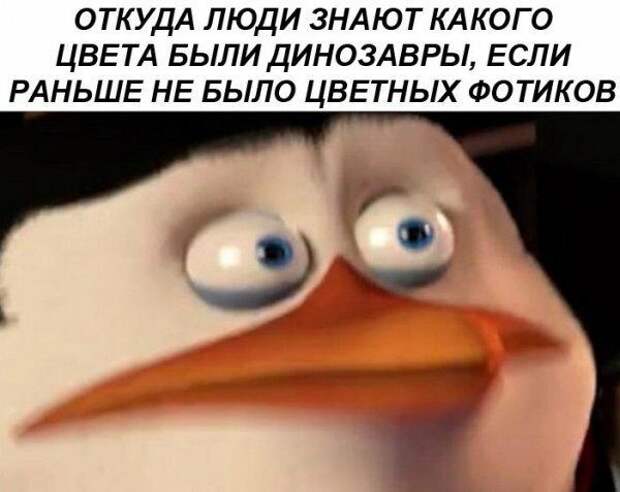 a8fe4ee011.jpg