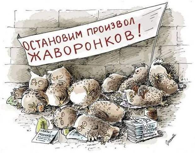 Забавные картинки с надписями для поднятия настроения (11 фото) Забавные картинки с надписями для поднятия настроения (11 фото)