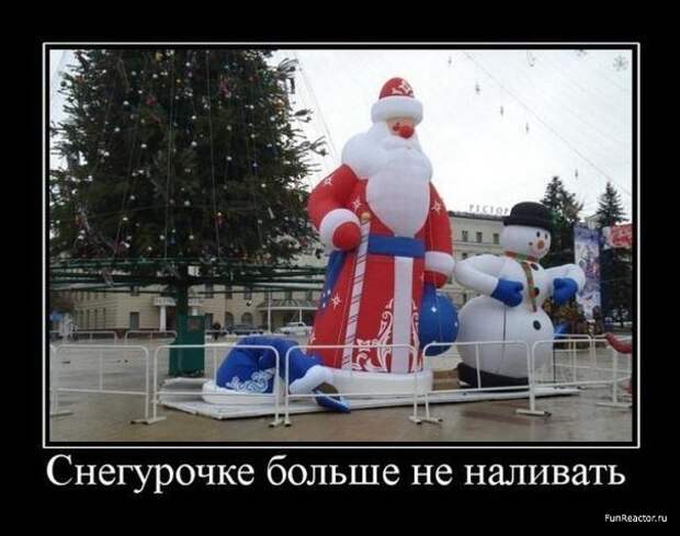 1386691093_xofoymvwe0c.jpg