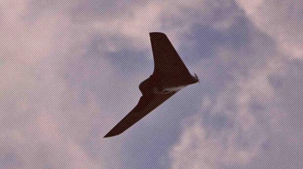 «Террористы-беспилотчики»: что известно о «Птицах Мадьяра», которые могут быть причастны к атаке по кафе в Херсонской области