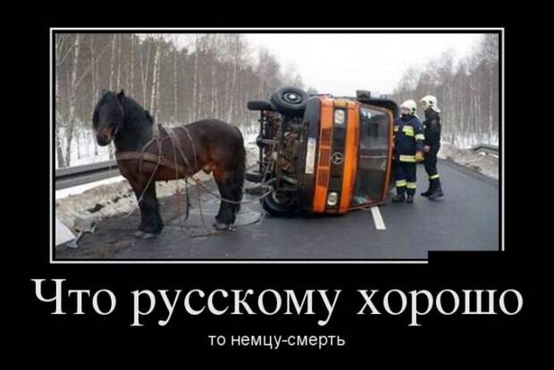 Позитивные и смешные демотиваторы (11 фото)